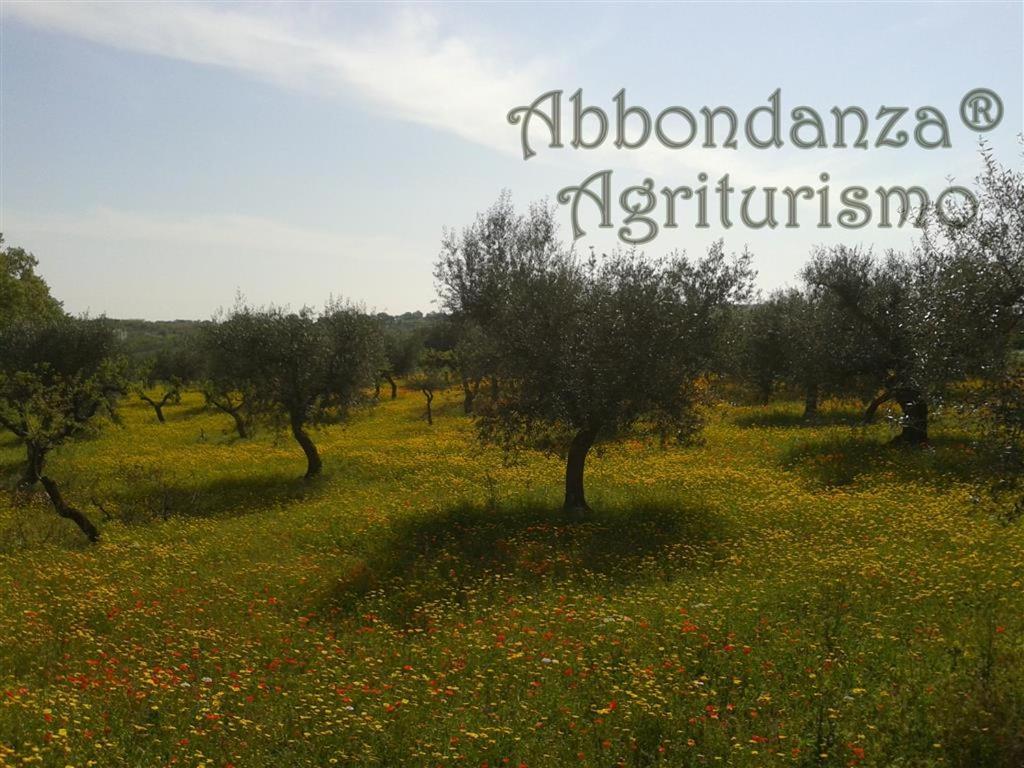 Agriturismo Abbondanza Villa Alberobello Kültér fotó
