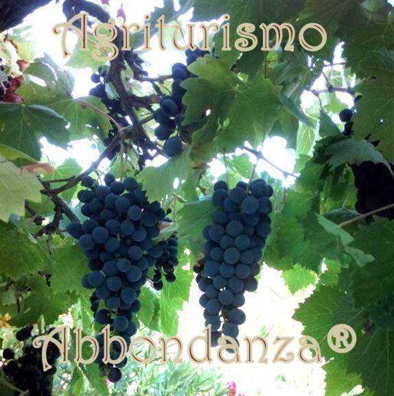 Agriturismo Abbondanza Villa Alberobello Kültér fotó